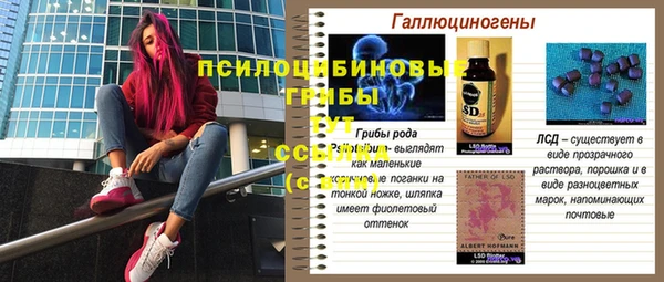 спиды Балахна