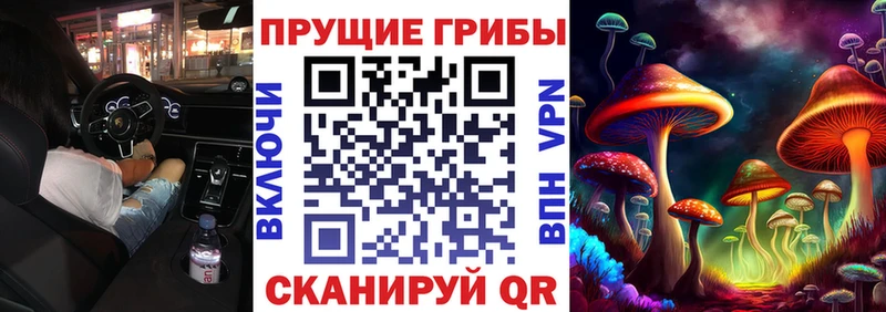 что такое наркотик  Кунгур  Галлюциногенные грибы Psilocybine cubensis 
